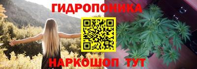 PSILOCYBIN Будённовск