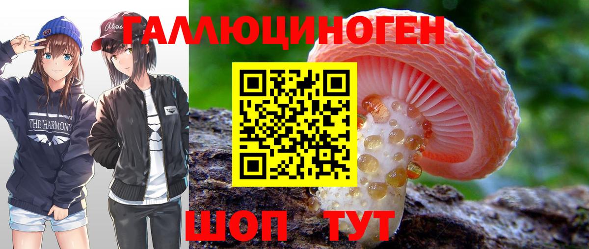 Псилоцибиновые грибы Psilocybine cubensis  Вход с VPN  Миасс 