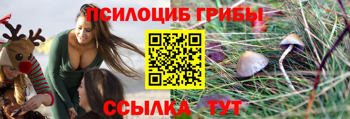 Псилоцибиновые грибы прущие грибы Миасс